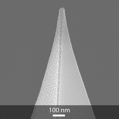 SEM image of OPUS gold Au Coated AFM tip SEM image of OPUS gold Au Coated AFM tip
