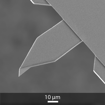 The perfect OPUS replacement AFM probe for OMCL-AC55TS is 55AC-NG The perfect OPUS replacement AFM probe for OMCL-AC55TS is 55AC-NG