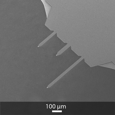 SEM image of OPUS 3XC AFM cantilevers and AFM tips