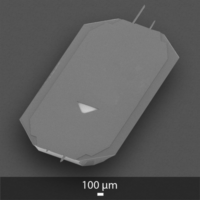 SEM image of OPUS 4XC AFM probe with 4 silicon AFM cantilevers and AFM tips SEM image of OPUS 4XC AFM probe with 4 silicon AFM cantilevers and AFM tips