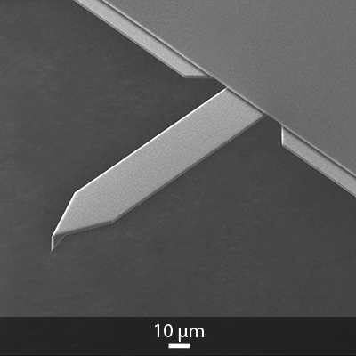 SEM image of OPUS 200AC AFM probe