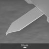 SEM image of OPUS 160AC AFM probe SEM image of OPUS 160AC AFM probe