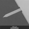 SEM image of OPUS 240AC AFM probe SEM image of OPUS 240AC AFM probe
