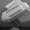 SEM image of Opus 240AC AFM probe back SEM image of Opus 240AC AFM probe back