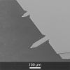 SEM image of OPUS 4XC AFM probe, side with short AFM cantilevers SEM image of OPUS 4XC AFM probe, side with short AFM cantilevers