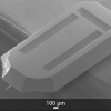 SEM image of OPUS 200AC AFM probe back