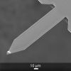 SEM image of OPUS 3XC AFM probe middle AFM cantilever and AFM tip SEM image of OPUS 3XC AFM probe middle AFM cantilever and AFM tip